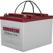 Concorde RG-325 Aircraft Battery